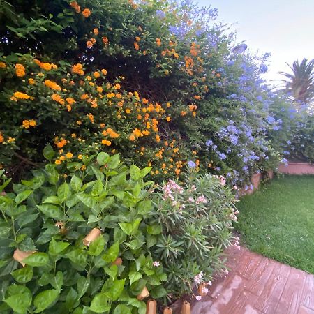 Apartamento Jardin Sanlucar サンルーカル・デ・バラメダ エクステリア 写真
