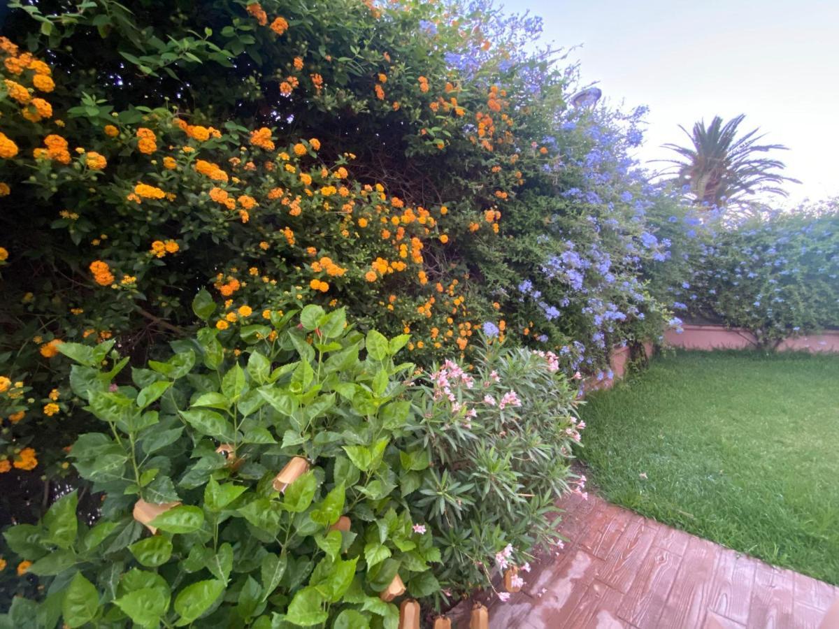 Apartamento Jardin Sanlucar サンルーカル・デ・バラメダ エクステリア 写真